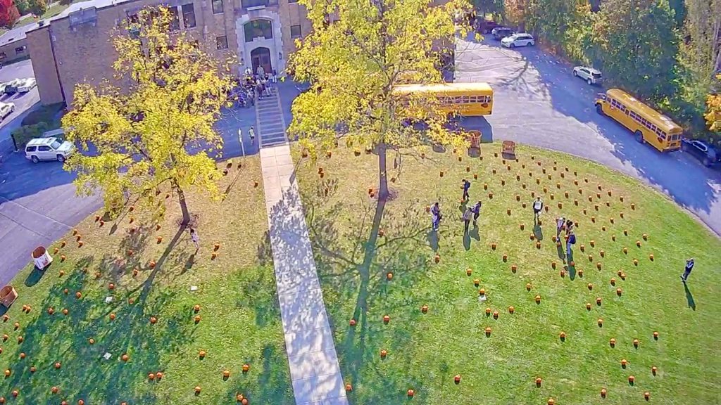 school lawn scattered with pumpkins