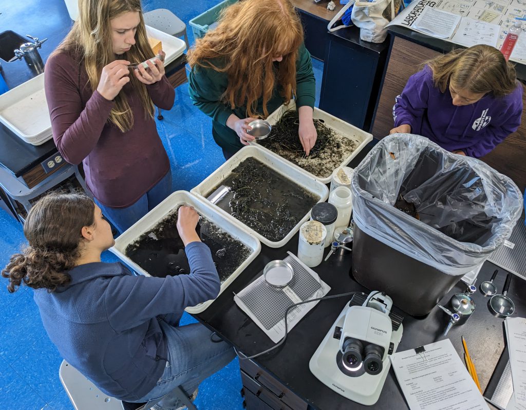 students test plants in a science lab