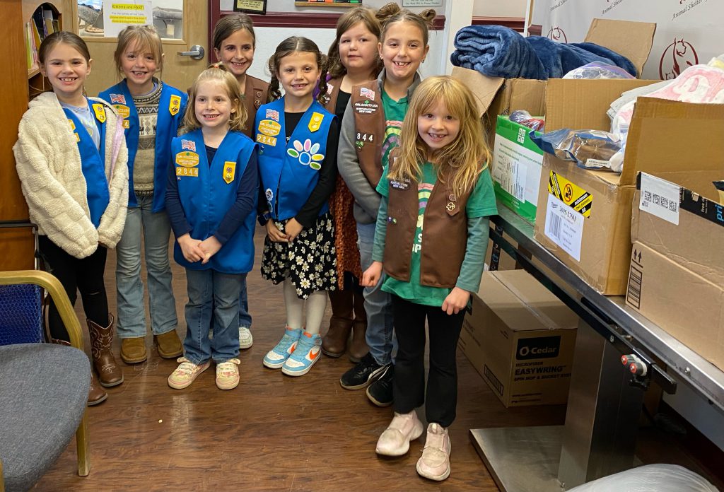 group of girl scouts