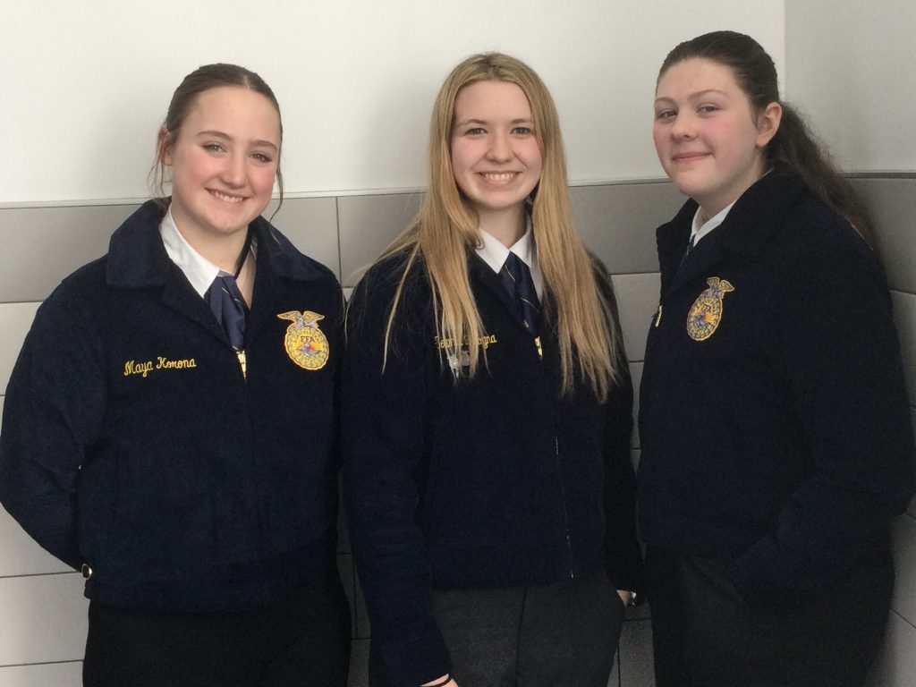 three FFA students